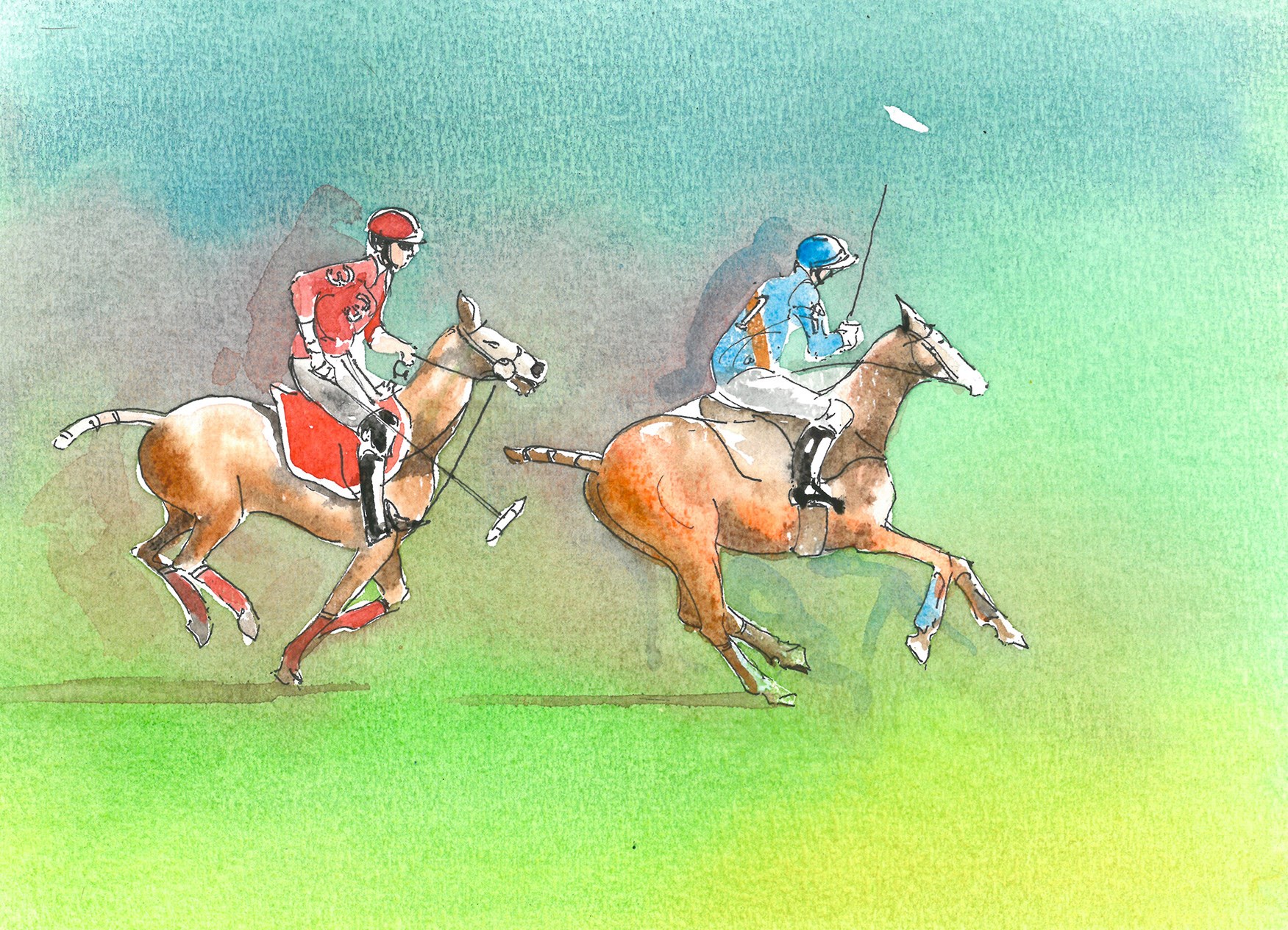 Polo - Cavaliers